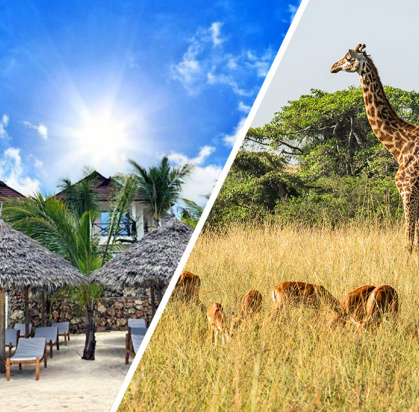 Ôclub Zen Sansi Kendwa Beach Resort 4* + Safari 1 nuit en avion, Circuit Tanzanie, Zanzibar par Ôvoyages Ôclub Zen Sansi Kendwa Beach Resort 4* + Safari 1 nuit en avion, Circuit Tanzanie, Zanzibar par Ôvoyages