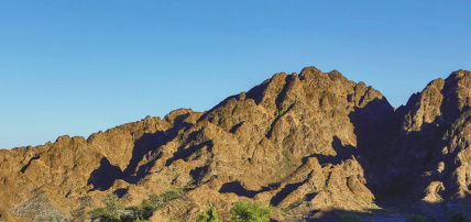 Hôtel Al Bustan Palace A Ritz-Carlton 5*, Séjour Oman par Ôvoyages Hôtel Al Bustan Palace A Ritz-Carlton 5*, Séjour Oman par Ôvoyages