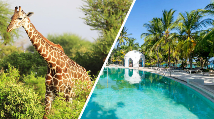 Combiné Circuit Amboseli, Tsavo Ouest & Est en 5 nuits + Ôclub Experience Sun Palm Beach Hotel & Resort 4*, Combiné Kenya par Ôvoyages Combiné Circuit Amboseli, Tsavo Ouest & Est en 5 nuits + Ôclub Experience Sun Palm Beach Hotel & Resort 4*, Combiné Kenya par Ôvoyages