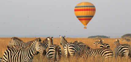 Circuit Safari Kenya : Tsavo, Lac Naivasha et Amboseli 3*, Circuit Kenya par Ôvoyages Circuit Safari Kenya : Tsavo, Lac Naivasha et Amboseli 3*, Circuit Kenya par Ôvoyages