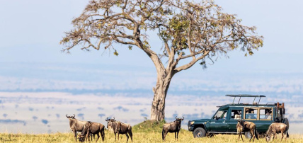 Circuit Safari Kenya : Tsavo, Lac Naivasha et Amboseli 3*, Circuit Kenya par Ôvoyages Circuit Safari Kenya : Tsavo, Lac Naivasha et Amboseli 3*, Circuit Kenya par Ôvoyages