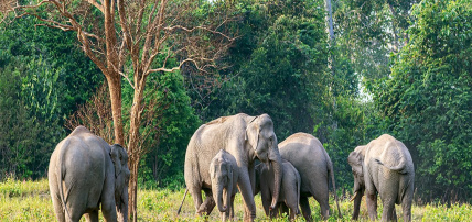 Circuit Trésors authentiques du Siam 4* & séjour à l'hôtel Ao Prao Resort 4*, Circuit Thaïlande, Bangkok par Ôvoyages Circuit Trésors authentiques du Siam 4* & séjour à l'hôtel Ao Prao Resort 4*, Circuit Thaïlande, Bangkok par Ôvoyages