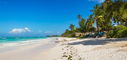 Combiné Ôclub Zen Pearl Beach Resort Zanzibar 4* & Ôclub Zen Sansi Kendwa Beach Resort 4*, Combiné Tanzanie, Zanzibar par Ôvoyages Combiné Ôclub Zen Pearl Beach Resort Zanzibar 4* & Ôclub Zen Sansi Kendwa Beach Resort 4*, Combiné Tanzanie, Zanzibar par Ôvoyages