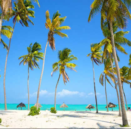 Hôtel Diamonds Mapenzi 4* + Safari 1 nuit, Combiné Tanzanie, Zanzibar par Ôvoyages Hôtel Diamonds Mapenzi 4* + Safari 1 nuit, Combiné Tanzanie, Zanzibar par Ôvoyages