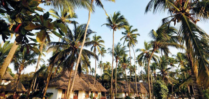 Hôtel Diamonds Mapenzi 4* + Safari 1 nuit, Combiné Tanzanie, Zanzibar par Ôvoyages Hôtel Diamonds Mapenzi 4* + Safari 1 nuit, Combiné Tanzanie, Zanzibar par Ôvoyages